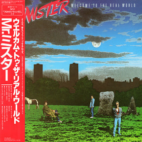 Mr. Mister : Welcome To The Real World (LP, Album)