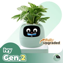 Ivy Gen 2 Smart Planter