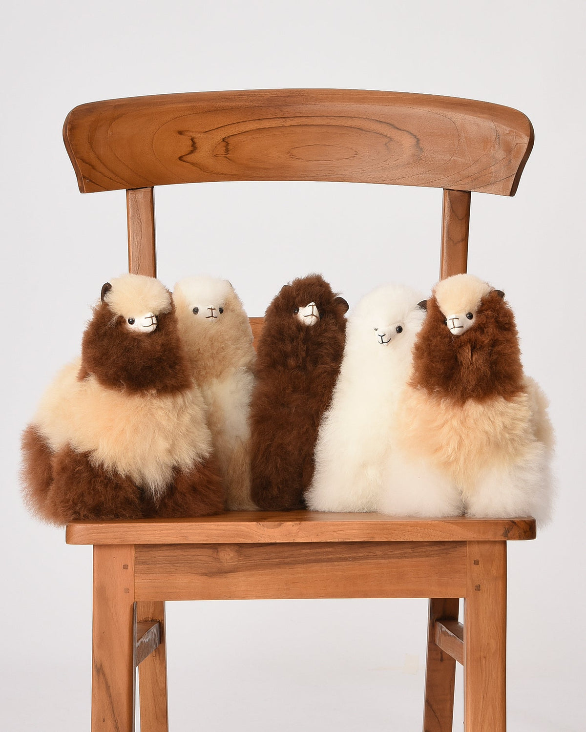 The Big Mini 22cm Baby Alpaca Plush Toy, Brown & Cream