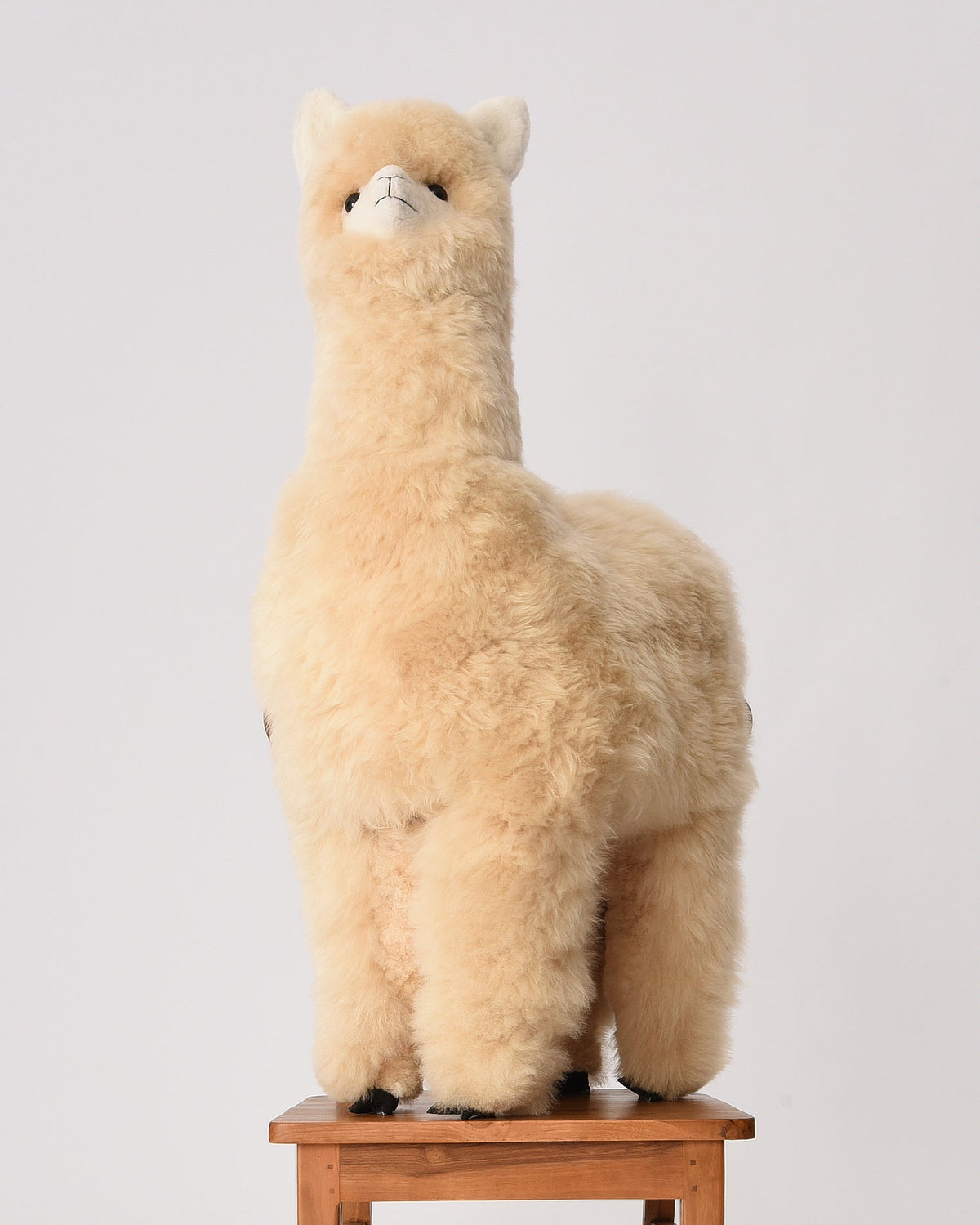 The 1 Metre Baby Alpaca Plush Toy, Cream