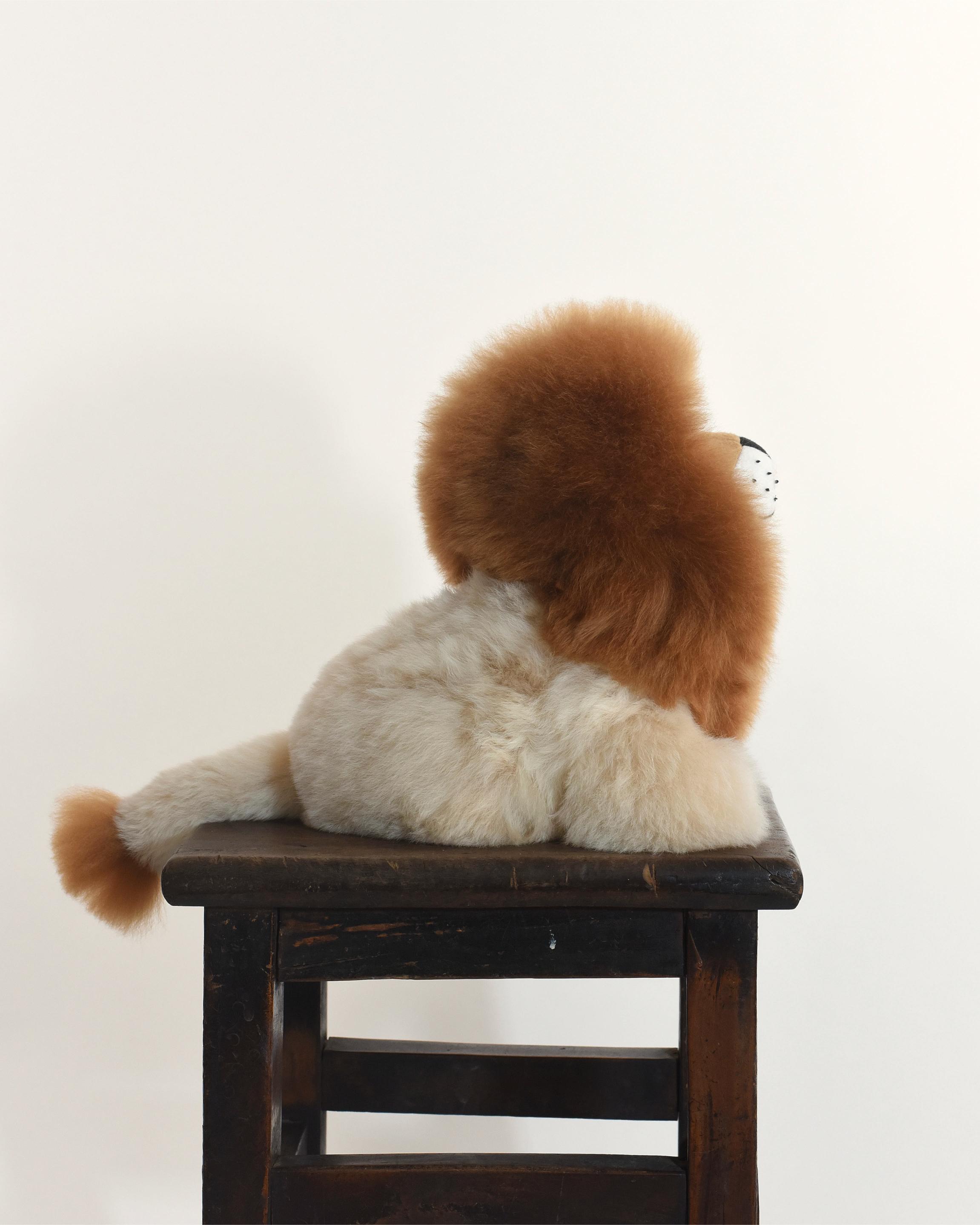 The Lion 28cm Baby Alpaca Plush Toy, Brown