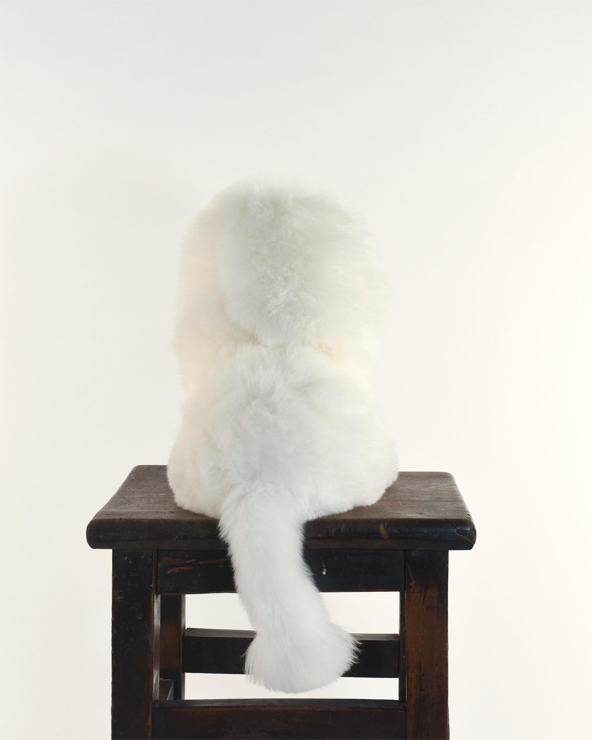 The Lion Baby Alpaca Plush Toy, White
