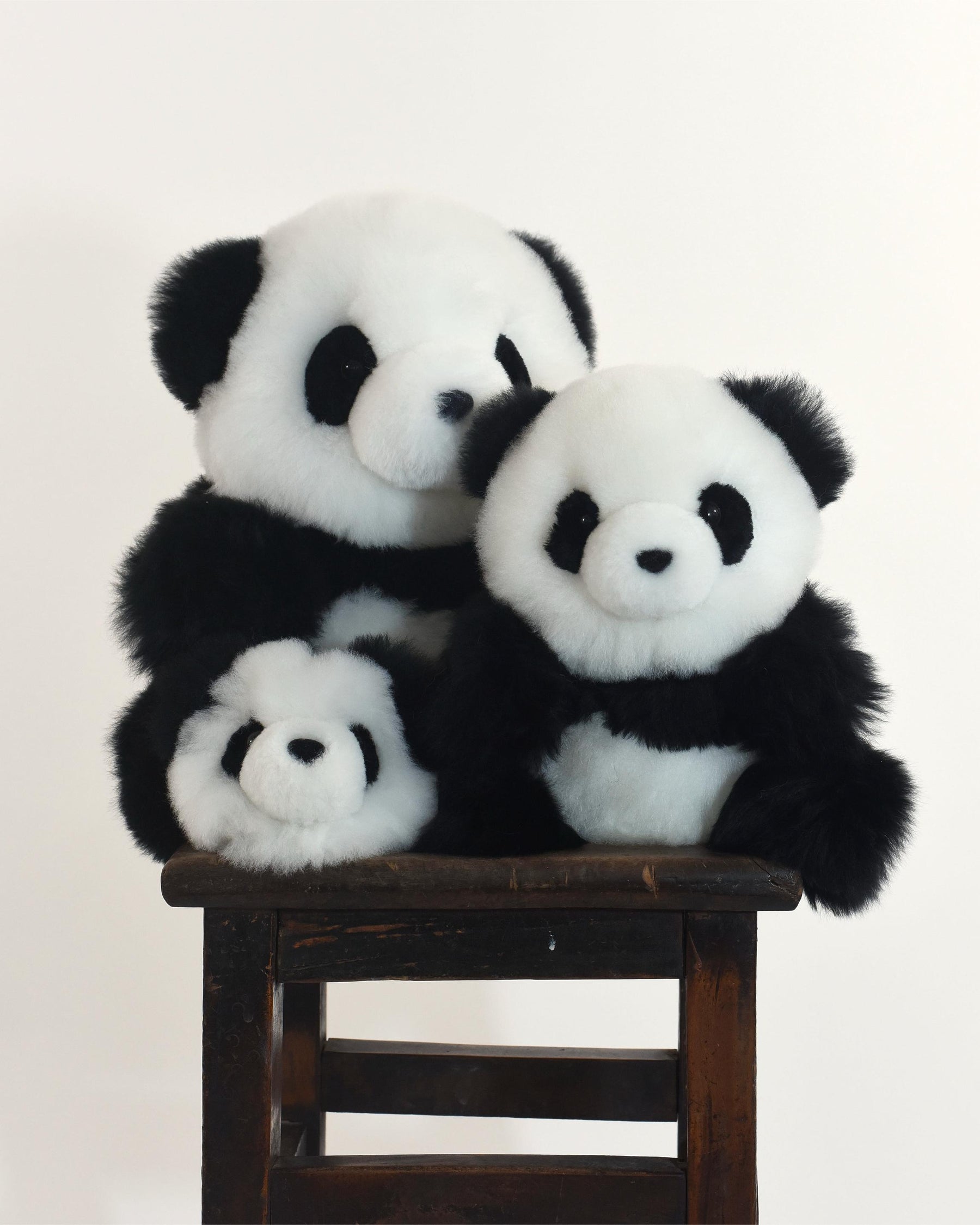 The Panda 24cm Baby Alpaca Plush Toy