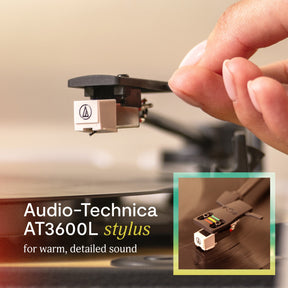 Rise Up All-in-One Turntable
