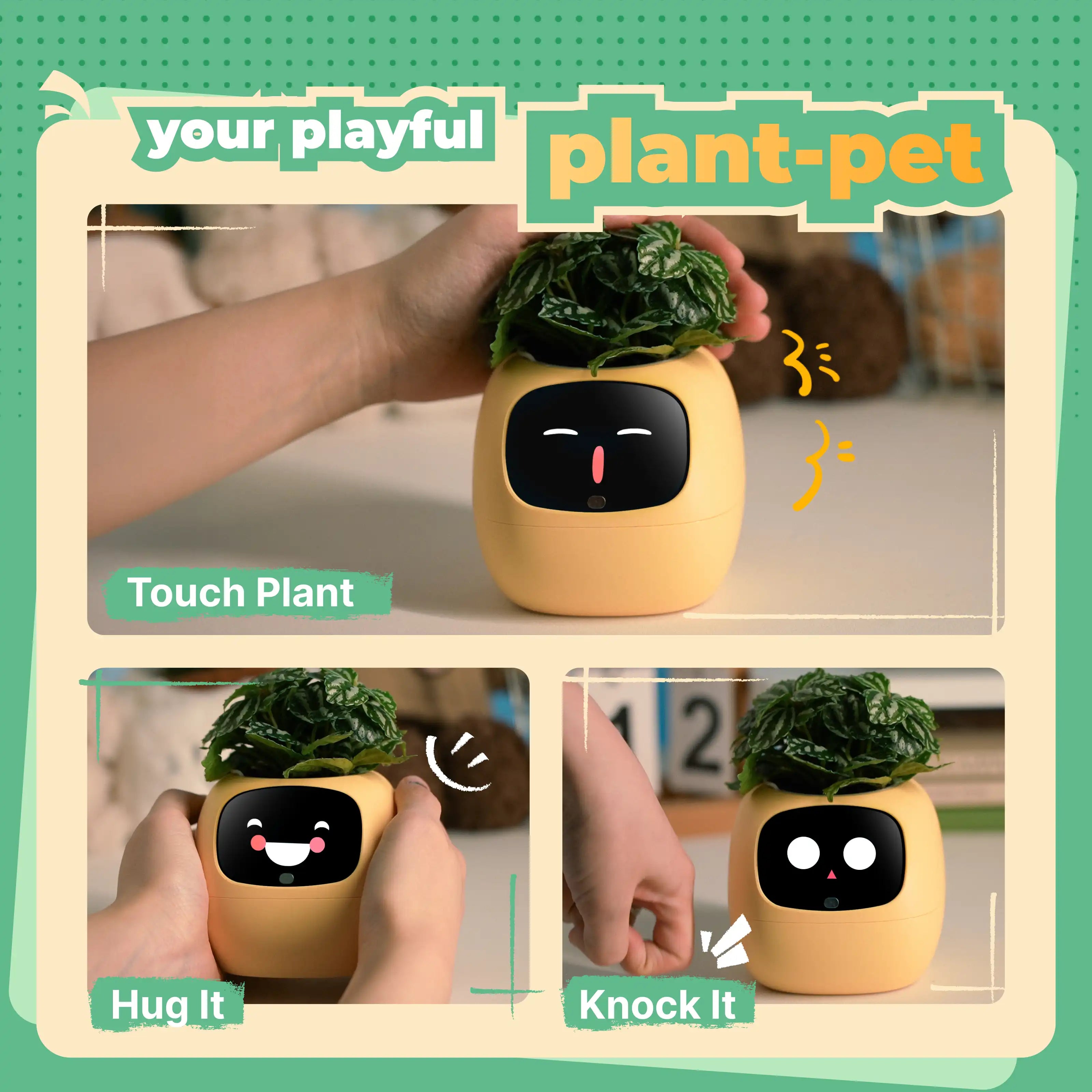 Ivy Gen 2 Smart Planter