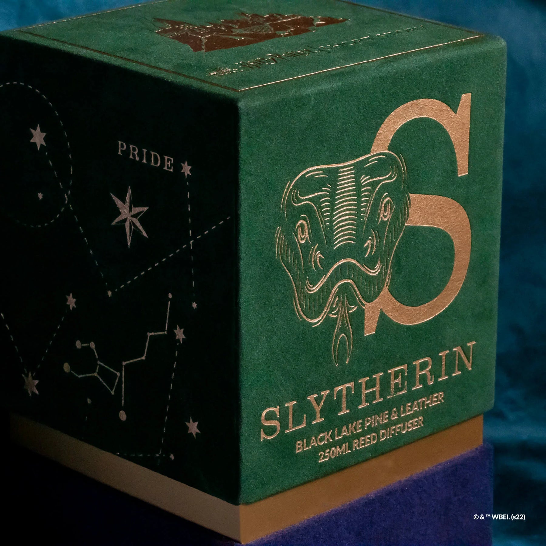 Slytherin Mystery Box Harry Potter - Boutique Harry Potter