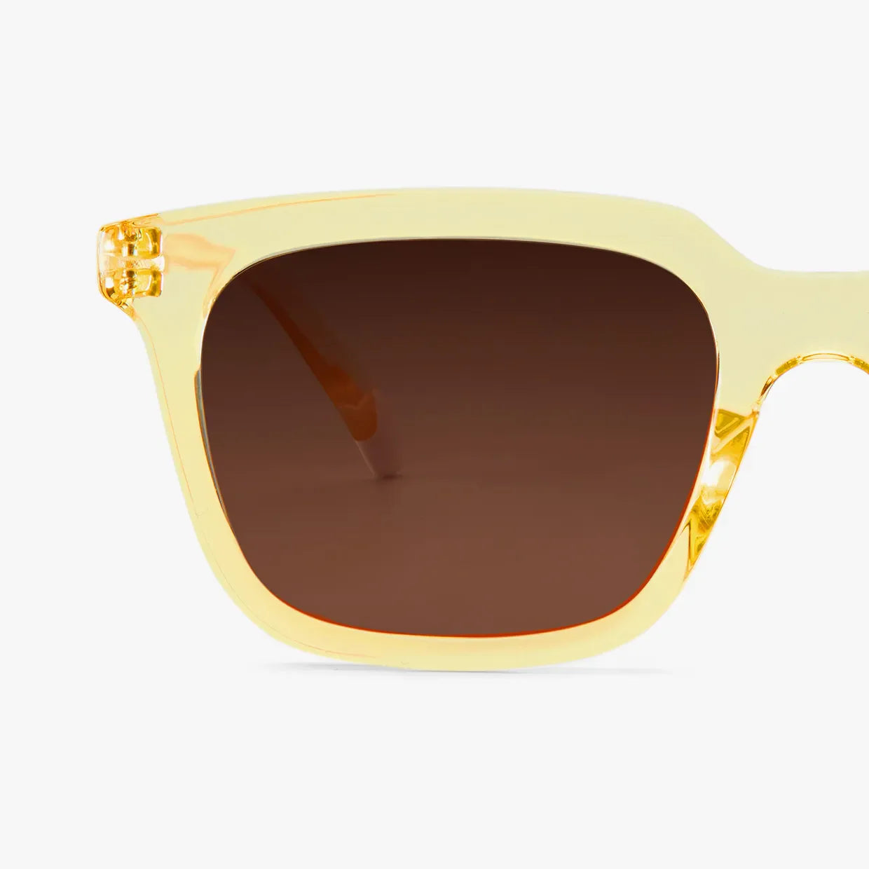 Holly Glossy Sunglasses