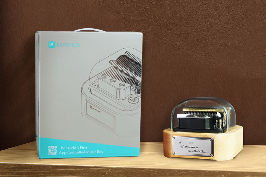 Muro Box N20 Mechanical Music Box | Muro Box - Wake Concept Store  