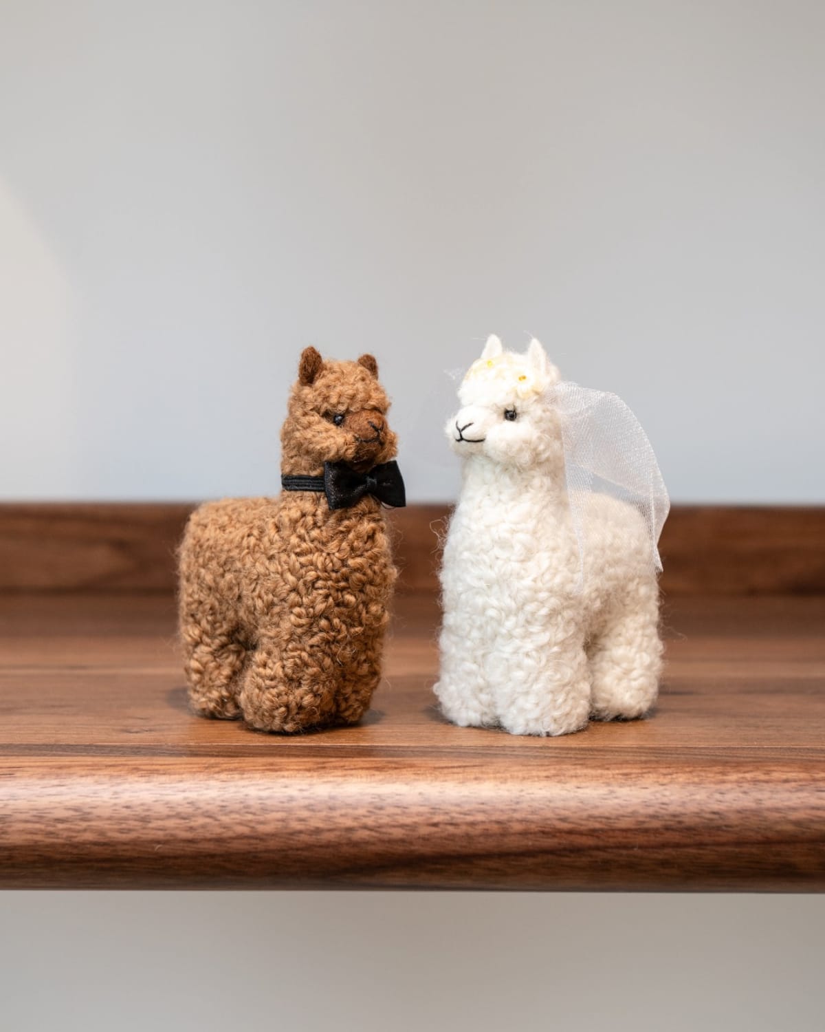 The Bride and Groom