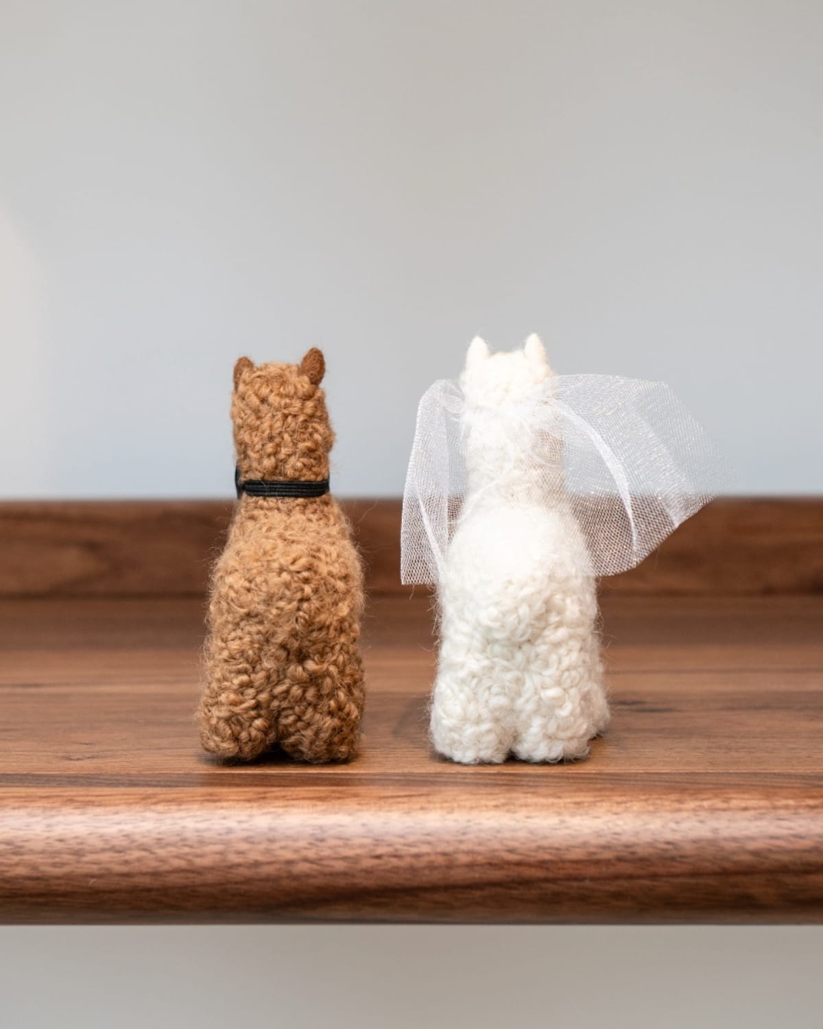 The Bride and Groom