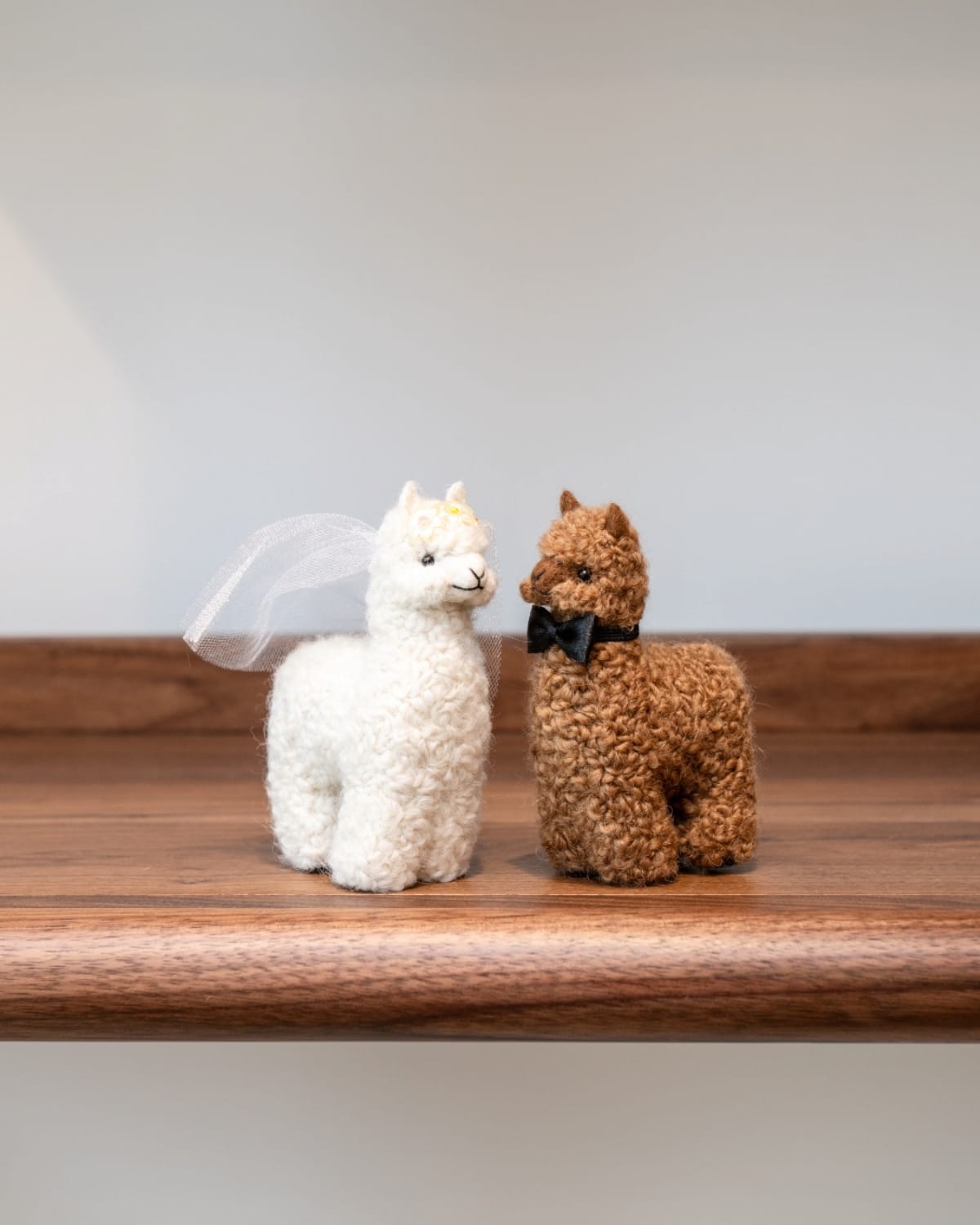 The Bride and Groom