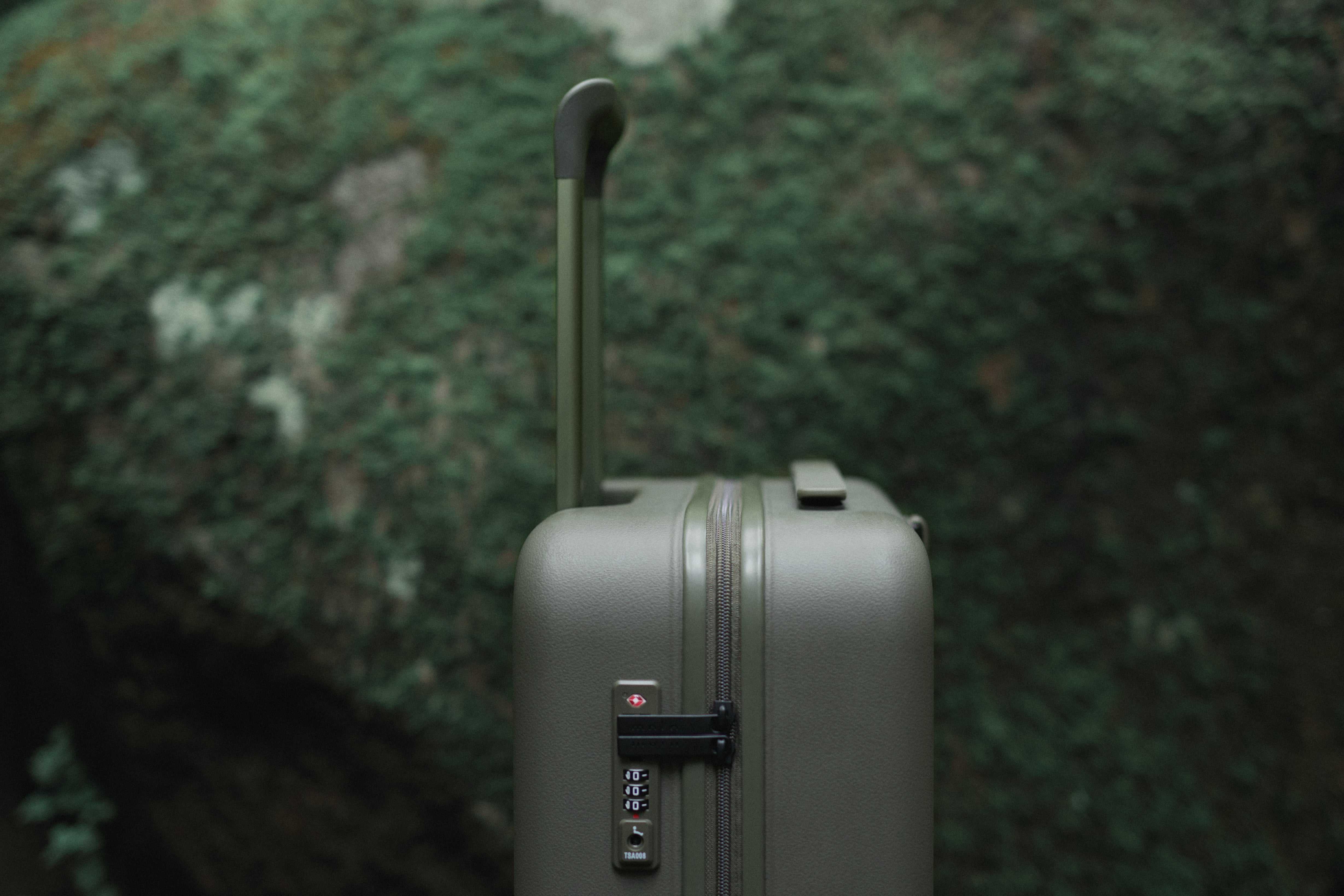 Moln Carry-on 33L Suitcase with PC Pocket, Moss