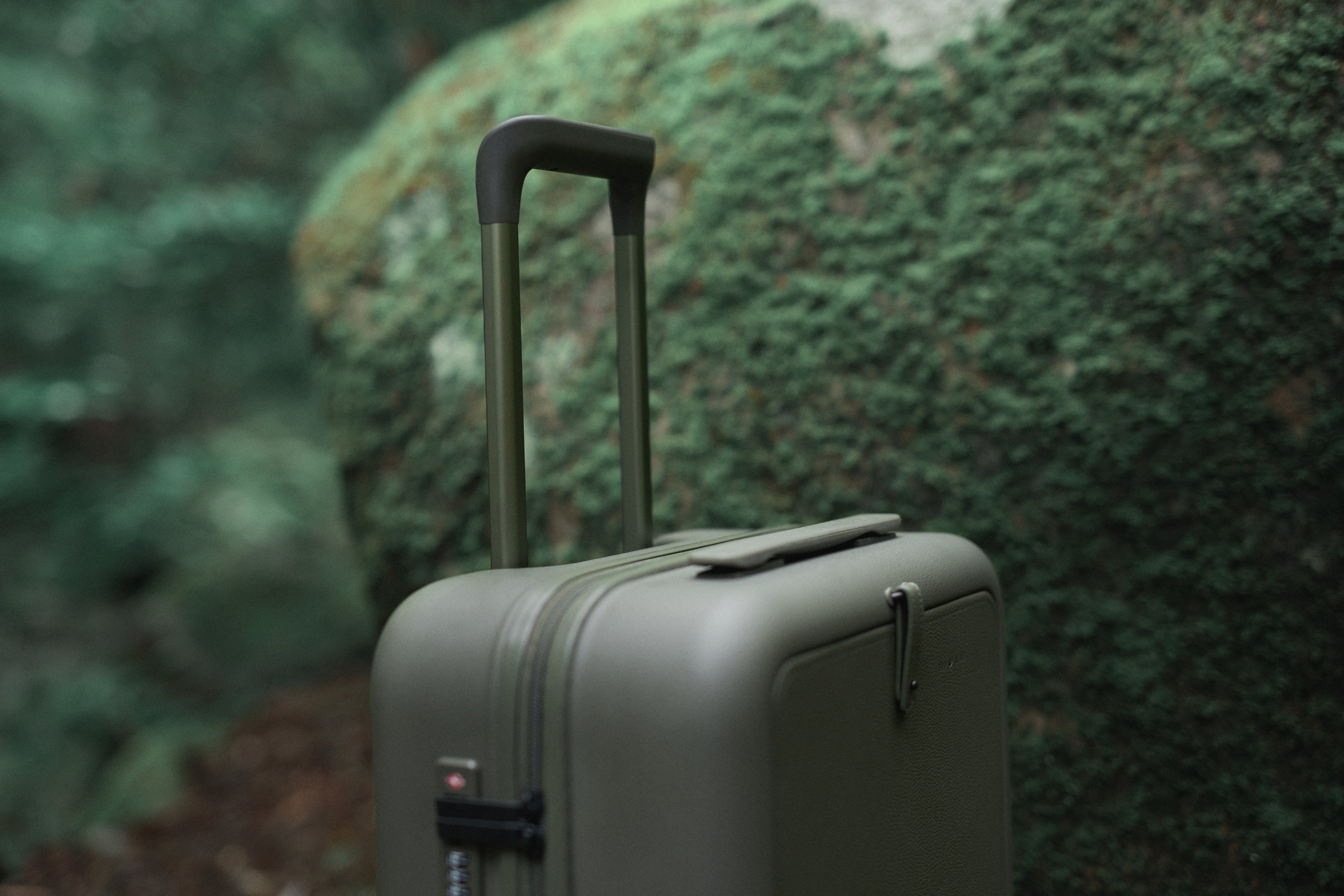 Moln Carry-on 33L Suitcase with PC Pocket, Moss
