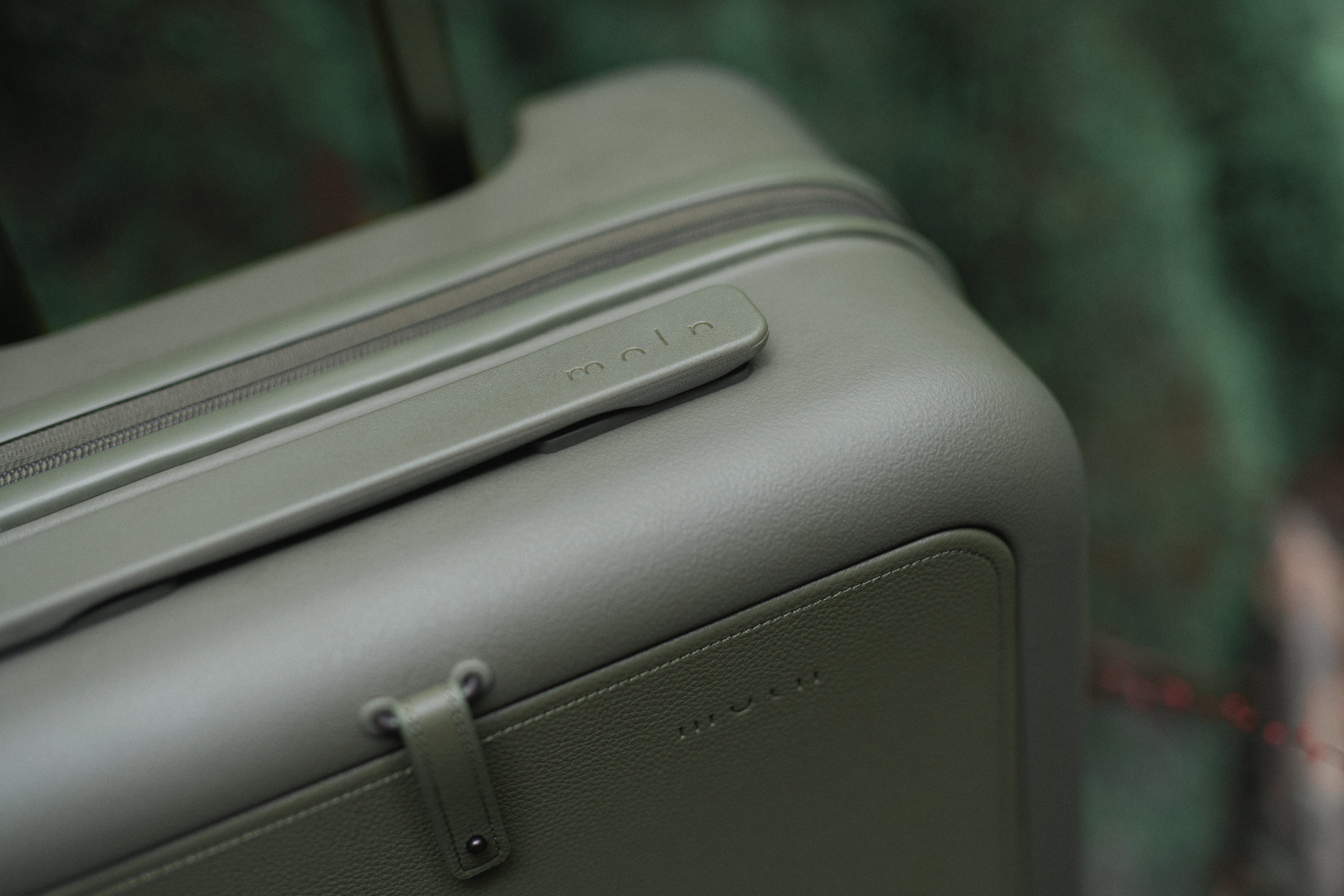 Moln Carry-on 33L Suitcase with PC Pocket, Moss