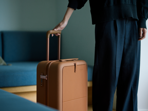Moln Carry-on 33L Suitcase with PC Pocket, Umber