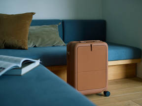 Moln Carry-on 33L Suitcase with PC Pocket, Umber