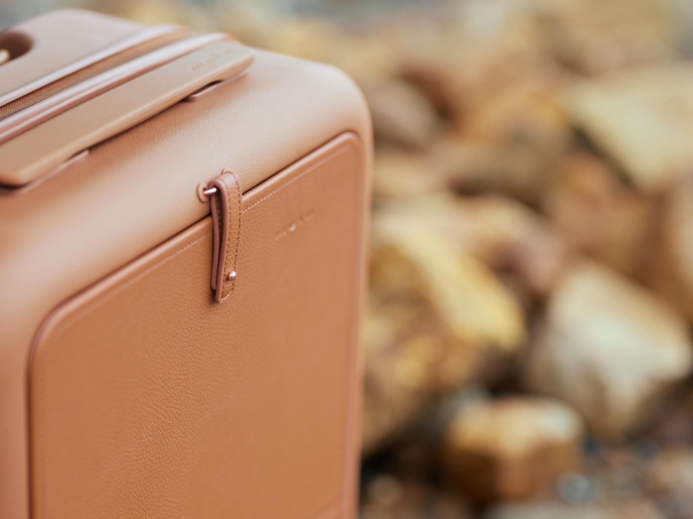 Moln Carry-on 33L Suitcase with PC Pocket, Umber