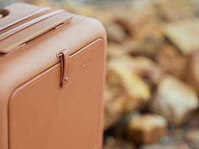 Moln Carry-on 33L Suitcase with PC Pocket, Umber