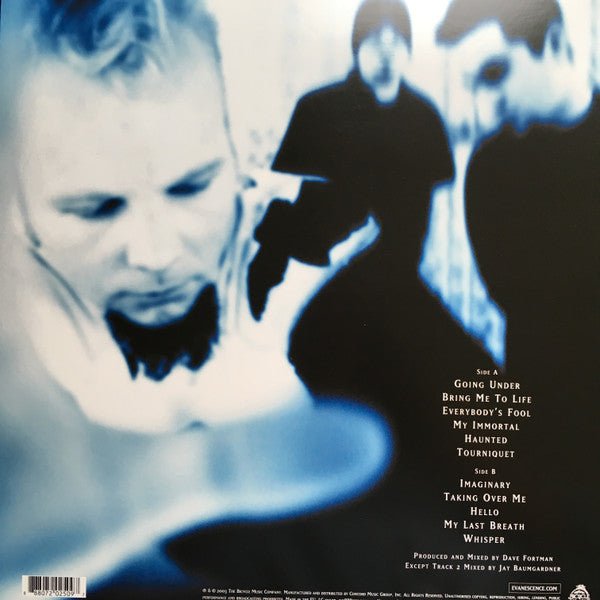 Evanescence : Fallen (LP, Album, RE, 180)