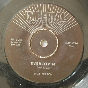 Ricky Nelson (2) : A Wonder Like You (7")