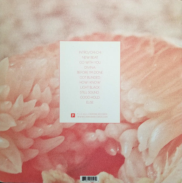 Toro Y Moi : Underneath The Pine (LP, Album)