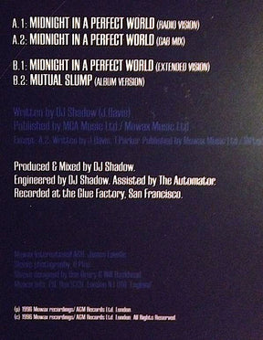 DJ Shadow : Midnight In A Perfect World (12", Single)