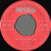 Ricky Nelson (2) : You Are The Only One (7")