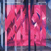 A Place To Bury Strangers : Transfixiation (LP, Album)