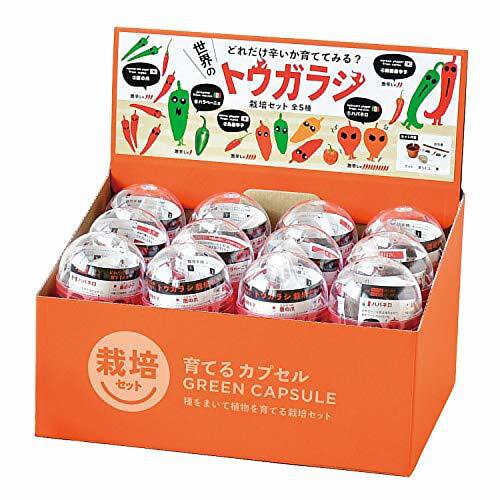 Green Capsule Chilli Pepper Mini Cultivation Kit | Seishin - Wake Concept Store  