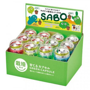 Green Capsule Cactus Mini Cultivation Kit | Seishin - Wake Concept Store  