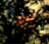 Pink Floyd : Obscured By Clouds (CD, Album, RE, RM)