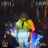 Little Scream : Cult Following (LP, Album)