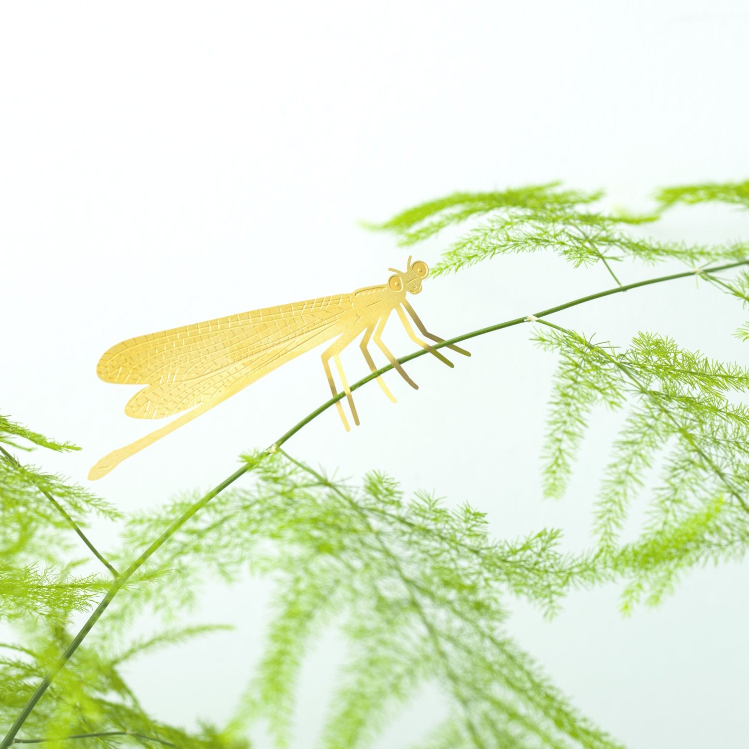Plant Animal | Plant Animal - Wake Concept Store  