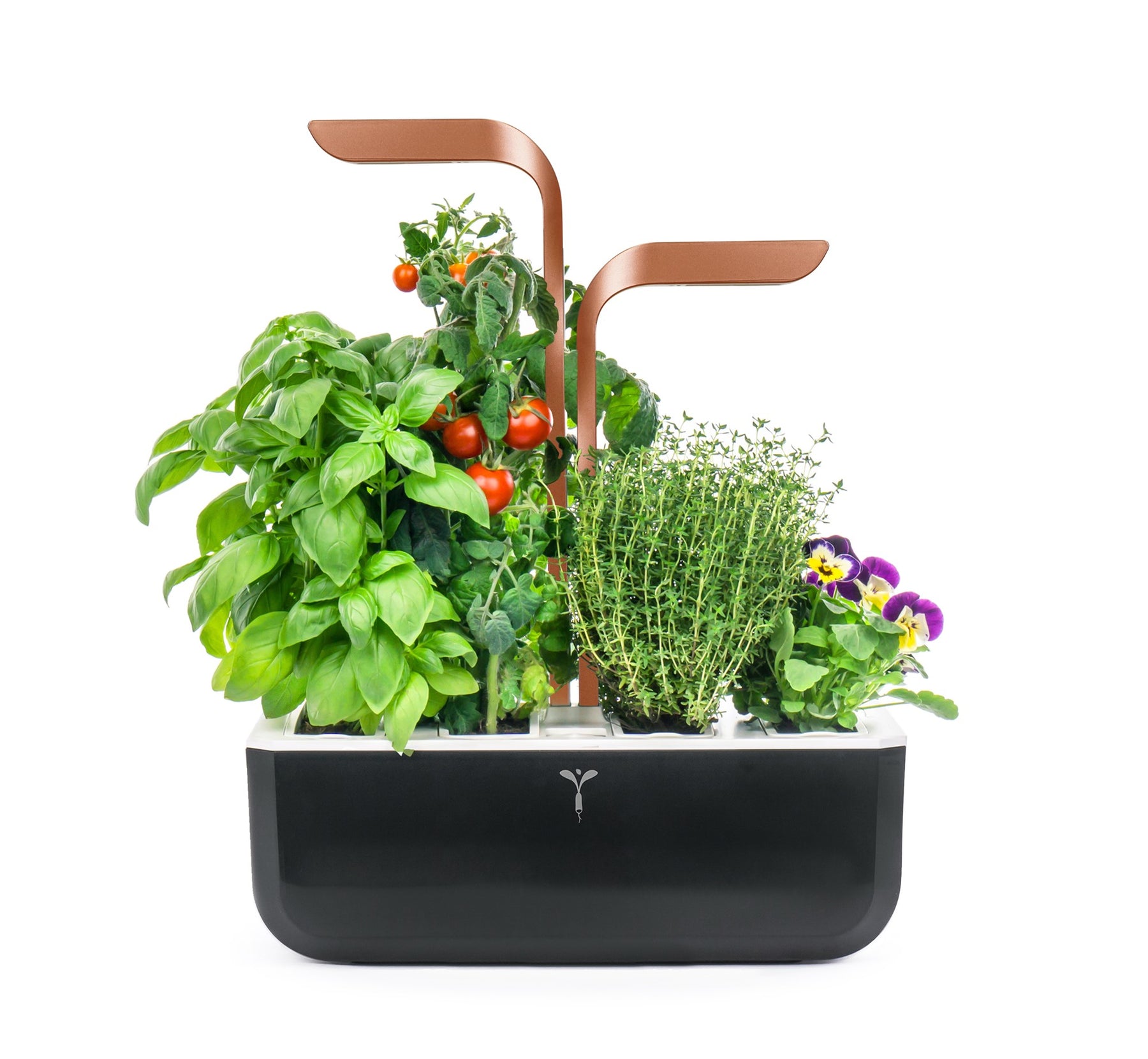 Veritable® SMART Indoor Garden Soft Black Copper (with 4 lingots) | Veritable - Wake Concept Store  