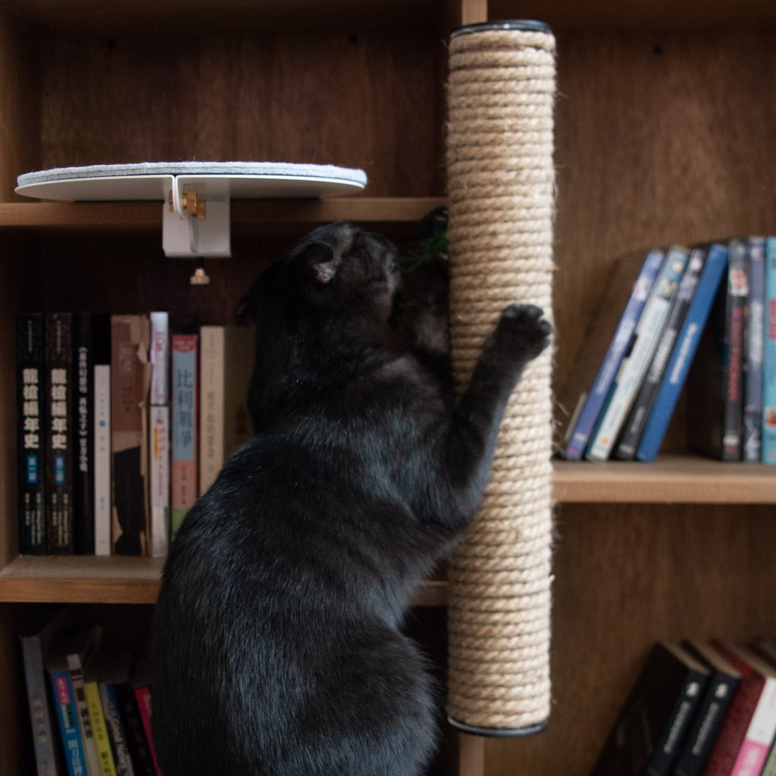 Catssup Climbing Tower | Catssup - Wake Concept Store  