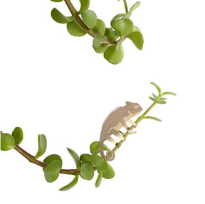 Plant Animal | Plant Animal - Wake Concept Store  