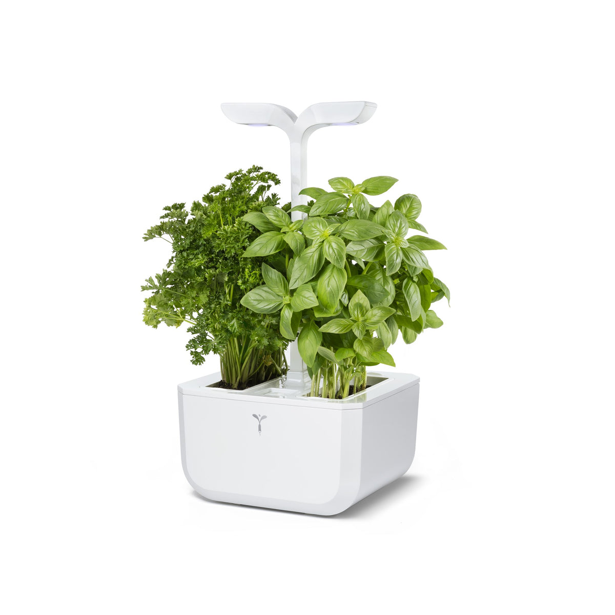 Exky® CLASSIC Indoor Garden Arctic White (with 2 lingots) | Veritable - Wake Concept Store  
