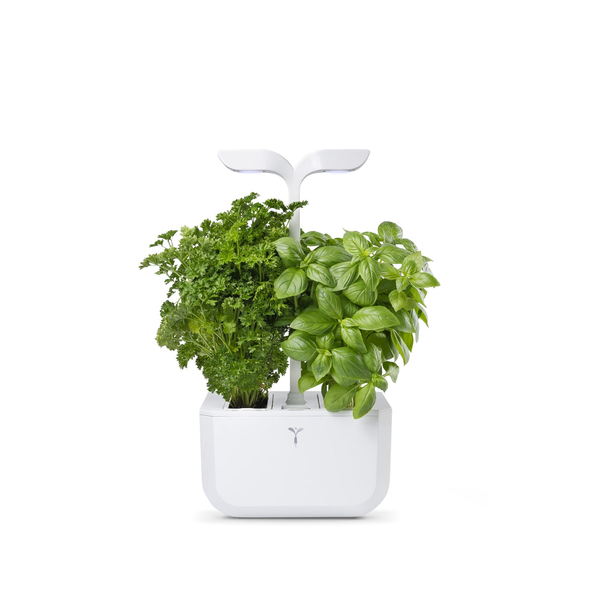 Exky® CLASSIC Indoor Garden Arctic White (with 2 lingots) | Veritable - Wake Concept Store  