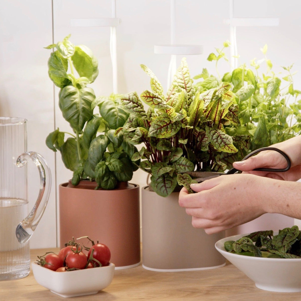 Nano Garden, Terracotta | Pret a Pousser - Wake Concept Store  