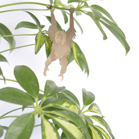 Plant Animal | Plant Animal - Wake Concept Store  