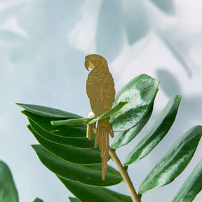Plant Animal | Plant Animal - Wake Concept Store  