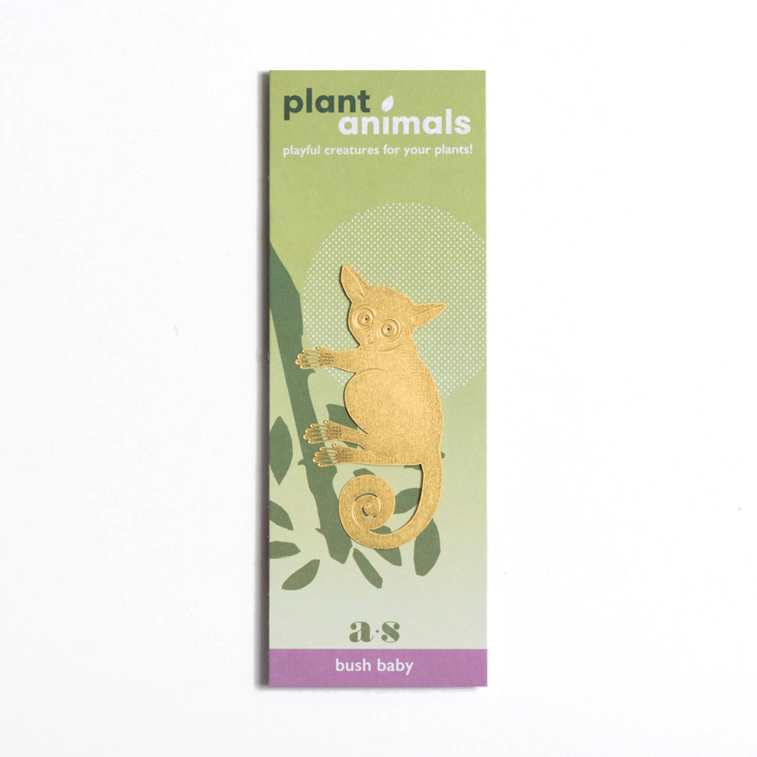 Plant Animal | Plant Animal - Wake Concept Store  