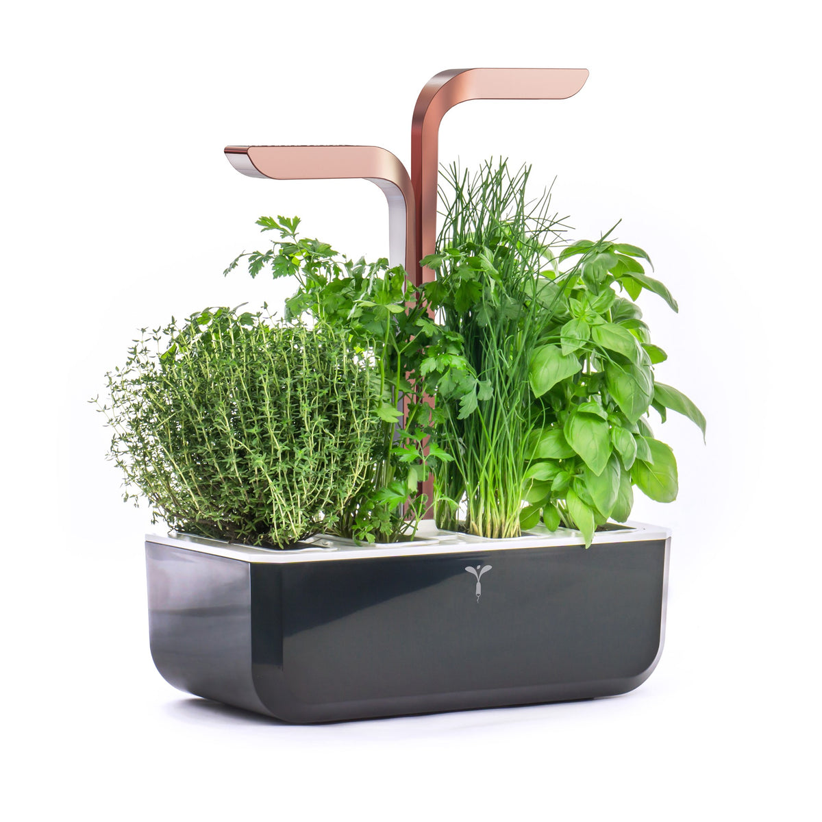 Veritable® SMART Indoor Garden Soft Black Copper (with 4 lingots) | Veritable - Wake Concept Store  