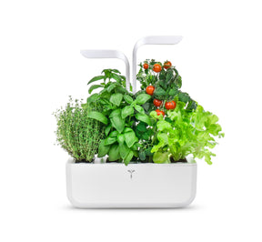Veritable® CLASSIC Indoor Garden Arctic White (with 4 lingots) | Veritable - Wake Concept Store  