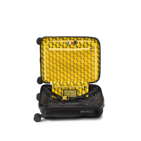 Icon, Cabin 4 Wheels Suitcase | Crash Baggage - Wake Concept Store  