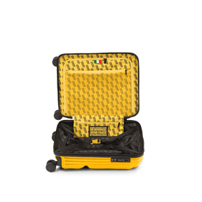 Stripe, Cabin 4 Wheels Suitcase | Crash Baggage - Wake Concept Store  
