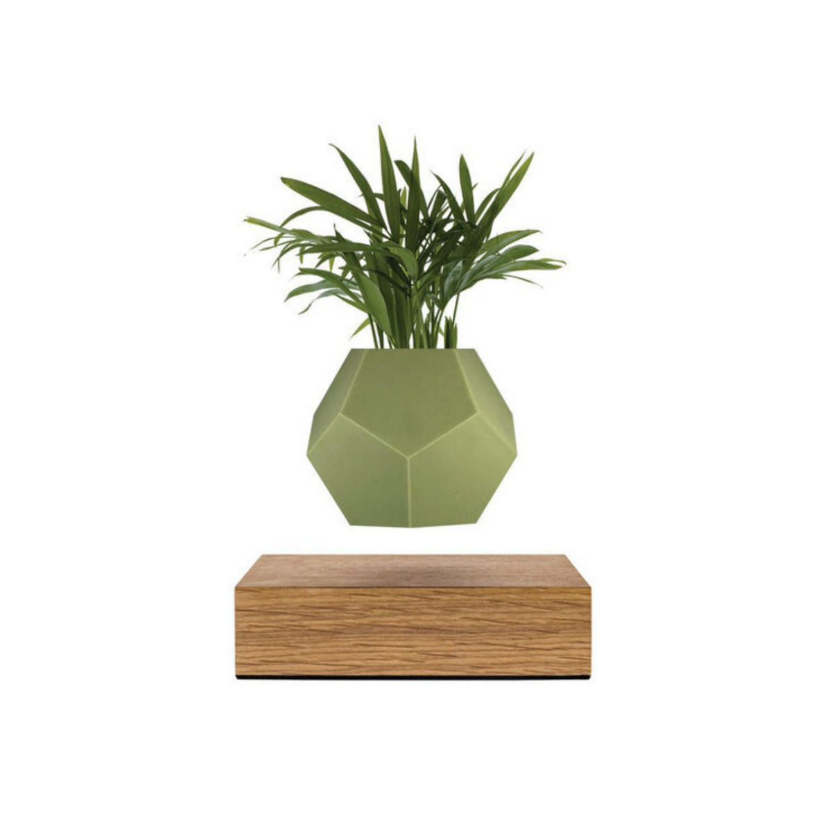 Lyfe Planter (with coloured silicone skin) | Flyte - Wake Concept Store  